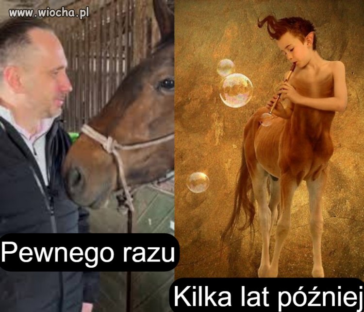 Love story pewnego Janusza