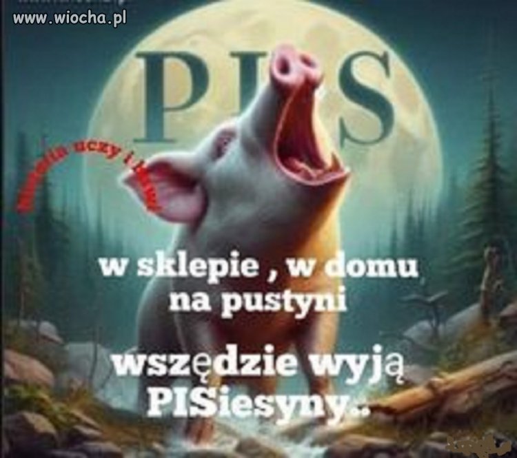 Ale coś powoli to idzie