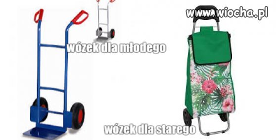 Koleje życia