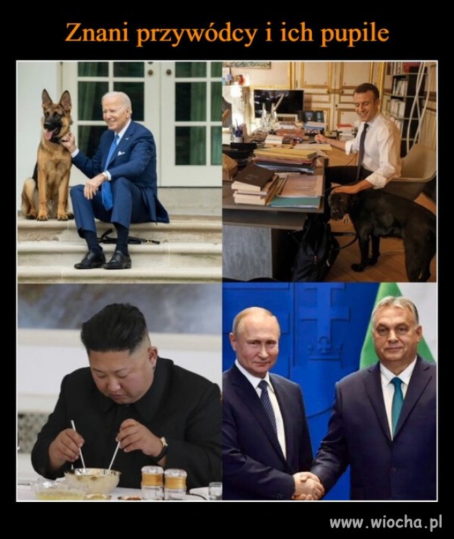 Tak to wygląda ...
