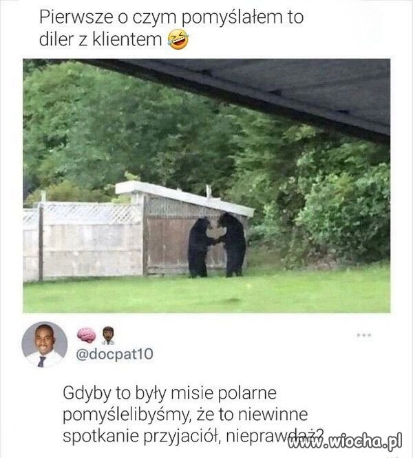 Prawdaż.   