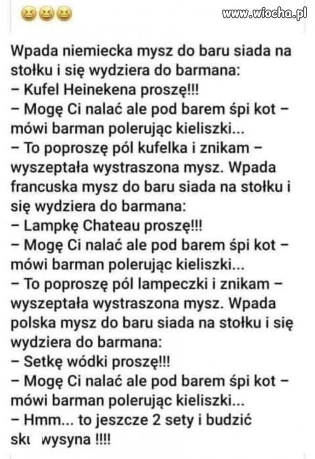 Polska mysz 