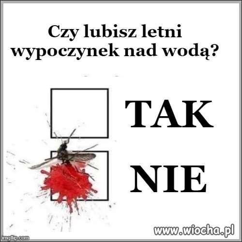 Pieprzone komary wysysają krew 
