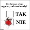 Pieprzone komary wysysają krew 