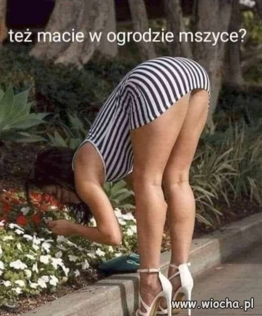 Trzeba się pozbyć szkodników
