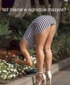 Trzeba się pozbyć szkodników