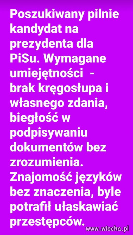 Poszukiwania trwają