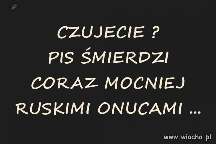 To widać słychać i czuć ...