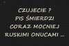 To widać słychać i czuć ...
