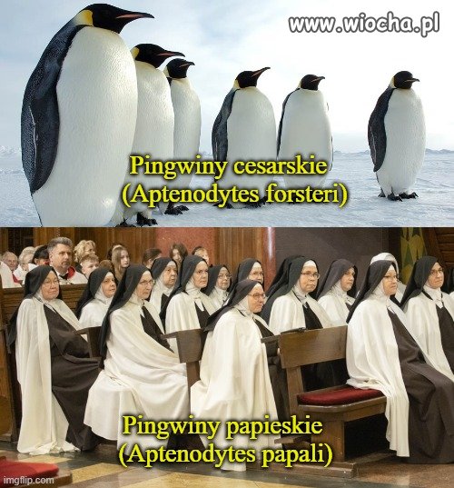 Wakacyjny  poradnik