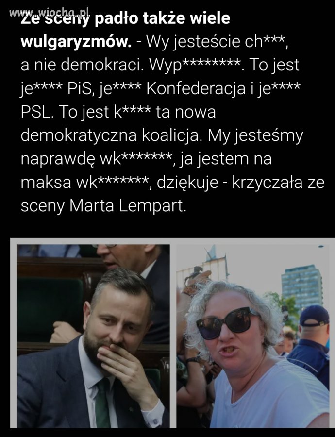 Język z niszy