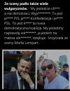 Język z niszy