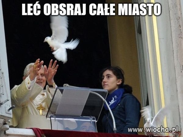 Gołębiarz.