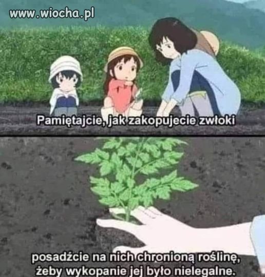 Uczymy się całe życie