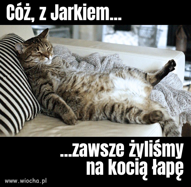 Wywiad rzeka 