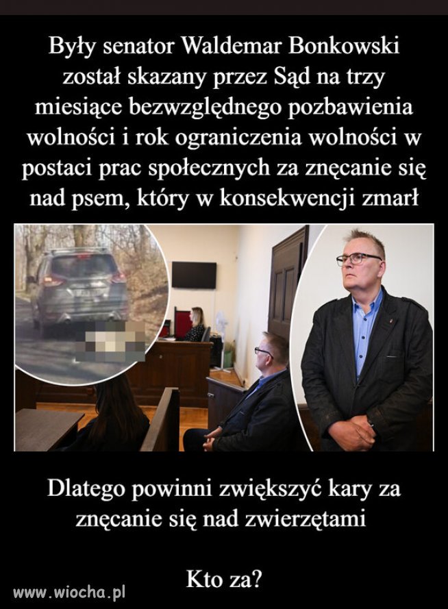 Trzy miesiące? Śmiech na sali.