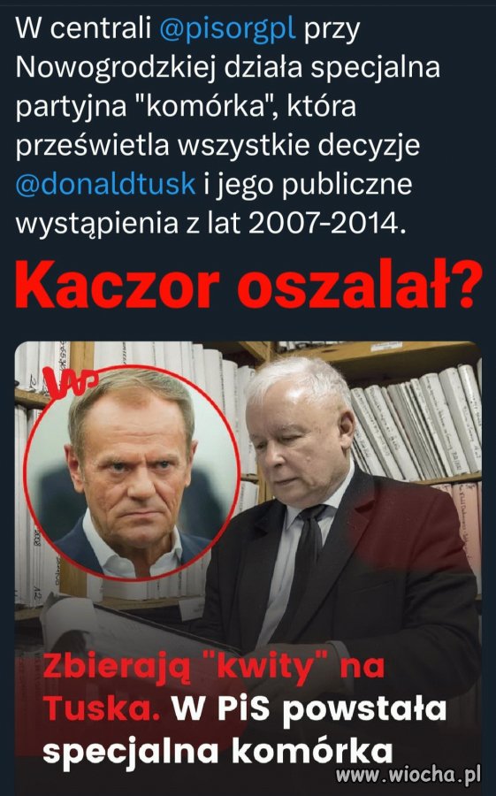 Mania prześladowcza kaczego oszczanego dziada