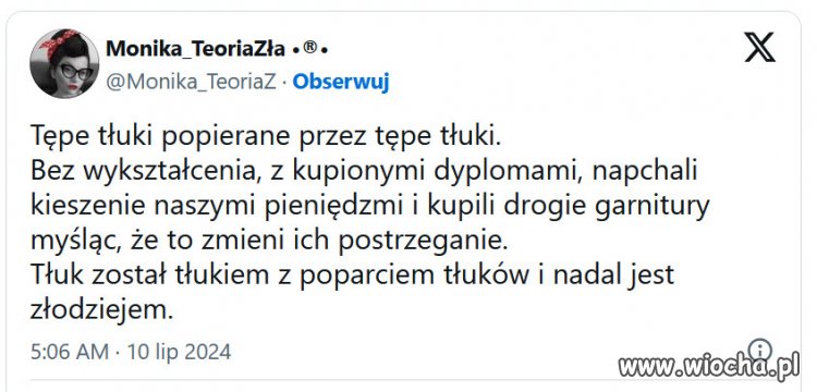 Tłuki, głupki i złodzieje. Oto prawdziwy obraz PiS