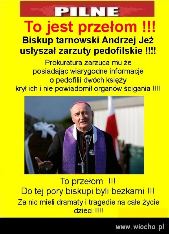 Pierwsze koty za płoty ...