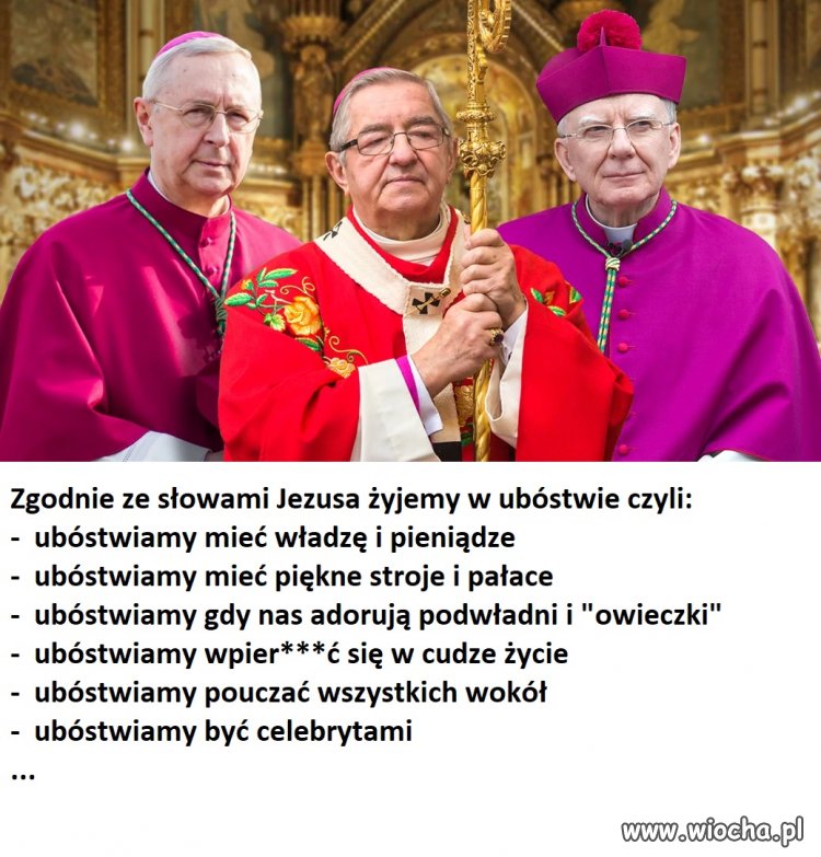 I jeszcze cechuje ich ubóstwo...intelektualne