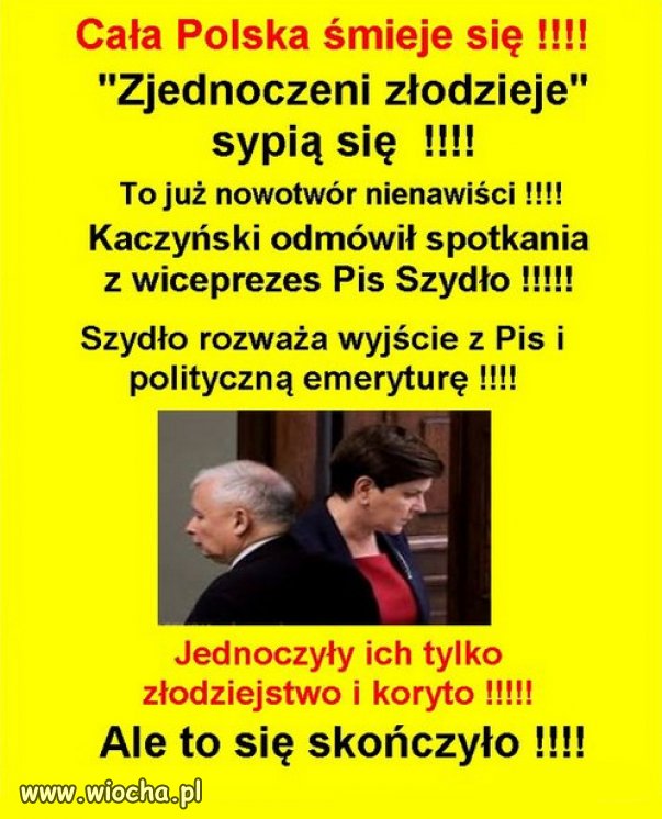 Oborowa z brocha tyle nakradła, że starczy do końca życia.