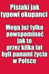 Dobrze żarło i zdechło