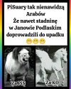 To jest najlepszy przykład