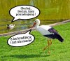 Kaczor nie potrafi ogarnąć zakupów w Biedrze,