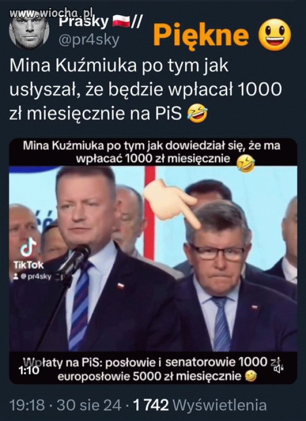 Pisowskie samozaoranie