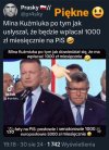 Pisowskie samozaoranie
