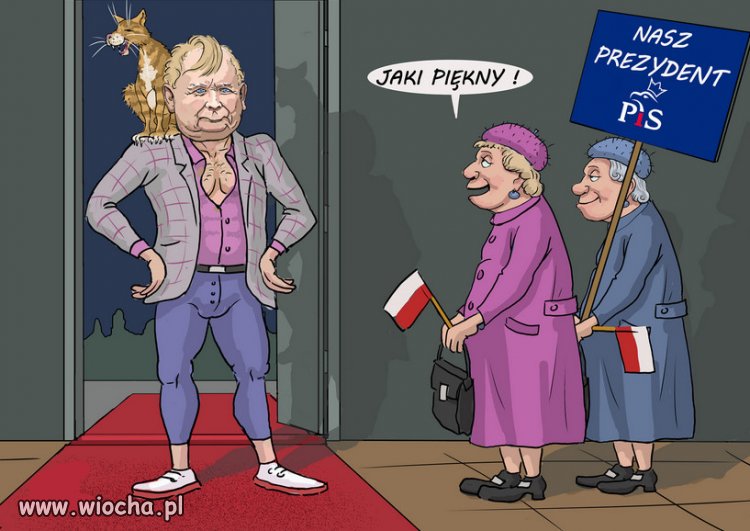 Kandydat idealny (dla wiejskiej hołoty PiSu)