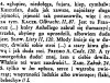   wg. starego słownika języka polskiego "duda" to: