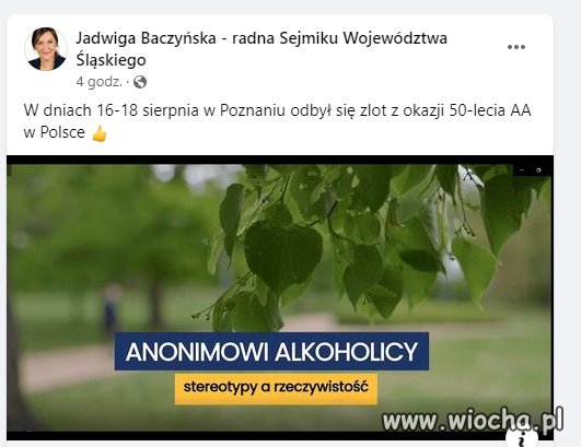 A Wam, koleżanki i koledzy