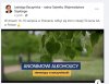 A Wam, koleżanki i koledzy