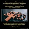 Opętania występują najczęściej wśród fanatyków religijnych!