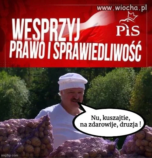 Pomoc dla PiSu
