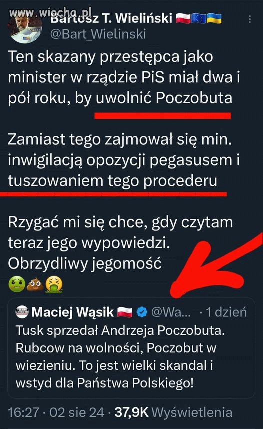 Wąsik ty qtasie