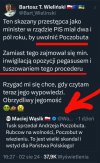 Wąsik ty qtasie