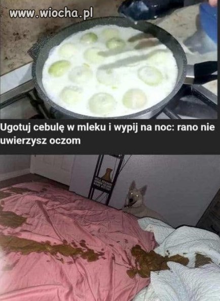 Przepis na zaparcie.