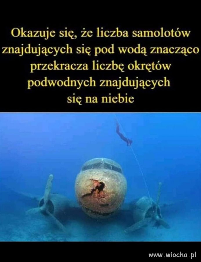 Taka ciekawostka z rana