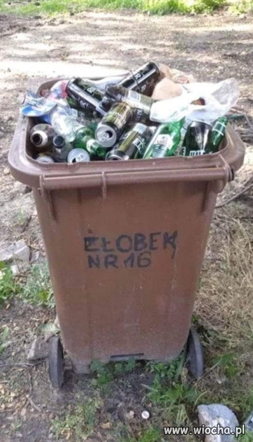 Chyba coś mnie w życiu ominęło