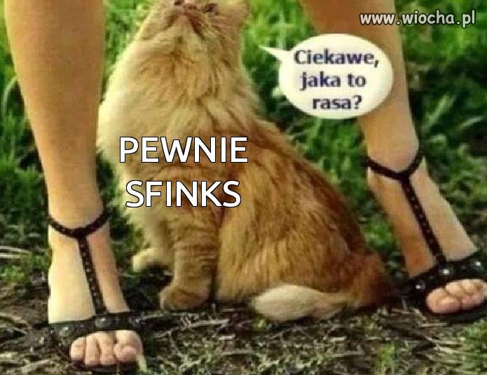 Sfinks.