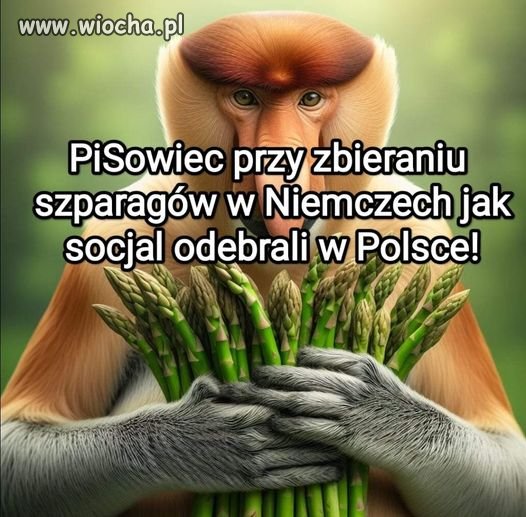 I to tyle w temacie.