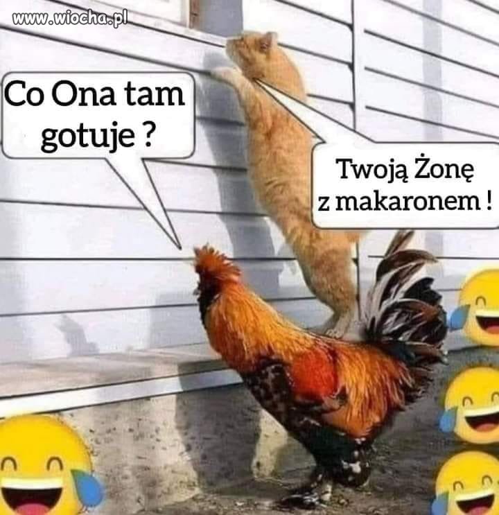 Niedzielny Obiad.