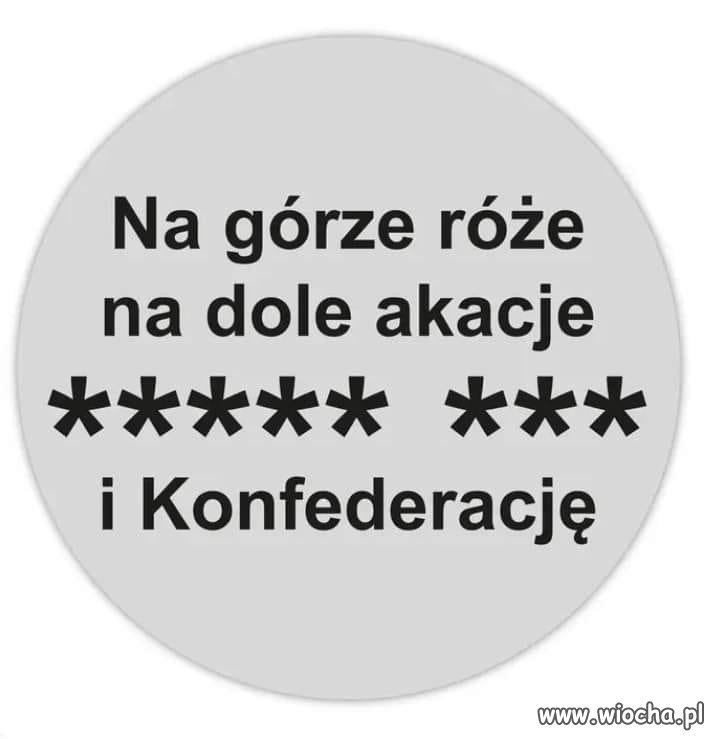 Krótko i treściwie ...