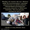 Nie sieją, nie orzą a zbierają...dzięki ludzkiej głupocie!