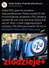 To się w pale nie mieści