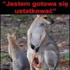 Karyna na stronie społecznościowej. 