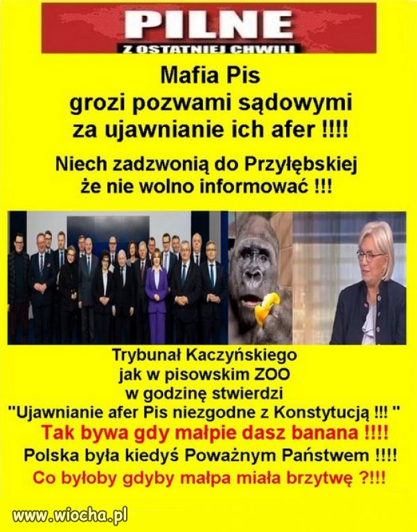 Mafia Pis grozi pozwami sądowymi za ujawnianie ich afer !