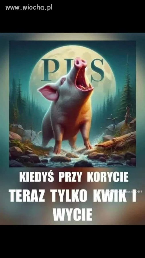 Kolejny dzień